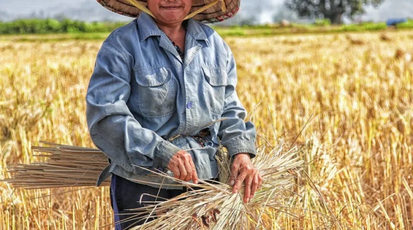 There are many variations of passages of Lorem Ipsum available, but majority have suffered teration in some form, by injected humour, or randomised words which don't look even slight believable. If you are going to use a passage of Lorem Ipsum.