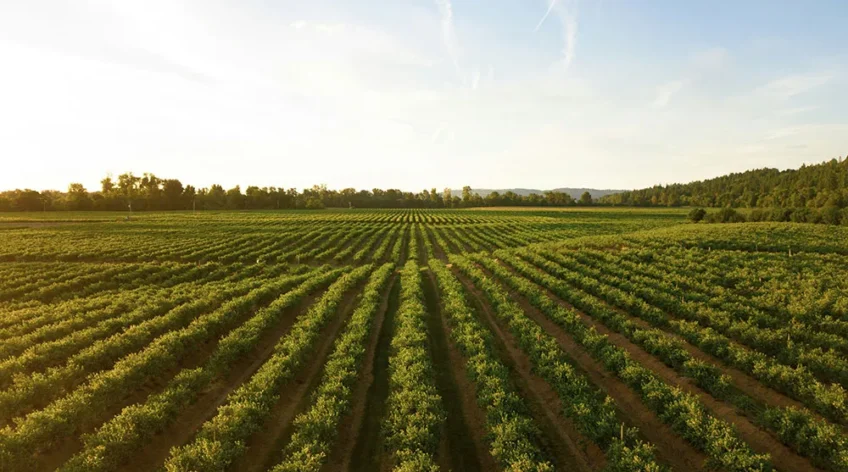 There are many variations of passages of Lorem Ipsum available, but majority have suffered teration in some form, by injected humour, or randomised words which don't look even slight believable. If you are going to use a passage of Lorem Ipsum.